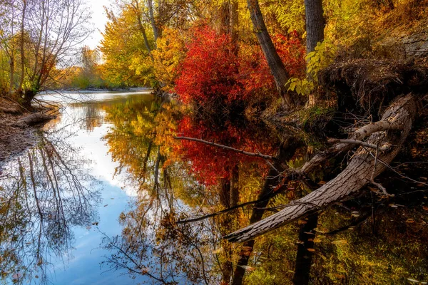 Vallende bomen en struiken reflecteren in de rivier de Boise — Stockfoto