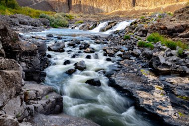 Vahşi Palouse Nehri küçük şelalelerin altından akar.