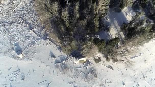 Textures et bosquets dans la neige fraîche au bord d'un lac de montagne 