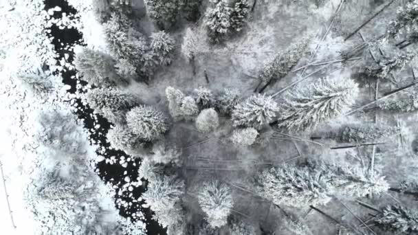 Vista Aérea Riacho Estrada Que Atravessa Uma Floresta Neve Inverno — Vídeo de Stock