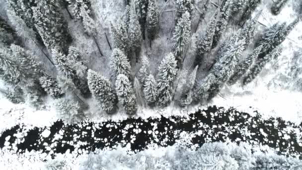 Fluxo Nevado Inverno Flui Sob Uma Ponte Remota Coberta Neve — Vídeo de Stock