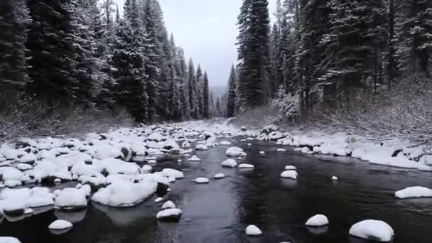 Hóval borított sziklák a folyó fenekén, melyek a fák erdején át sodródnak.