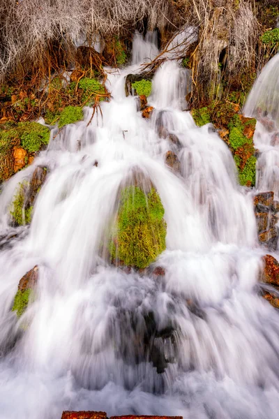 Closeup of a small spring that forms a waterfall with green cove — Stock Photo, Image