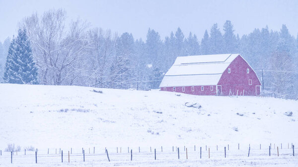 Красный амбар через поле во время зимней бури
