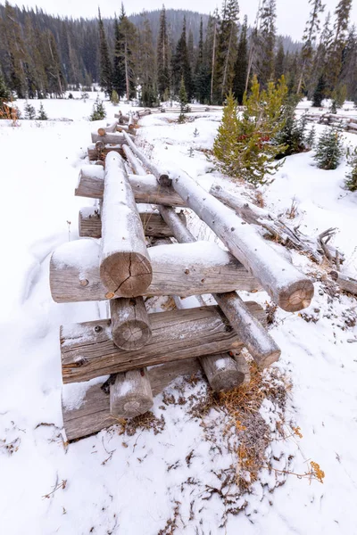 Valla remota de troncos silvestres en un bosque de invierno — Foto de Stock