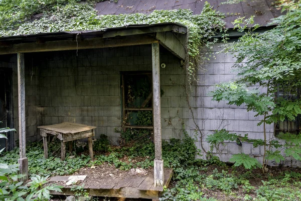 Tarpaper hut met roestige kamer en klimop — Stockfoto