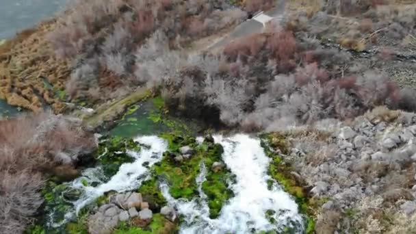Musgo Verde Las Hierbas Prosperan Flujo Agua Una Cascada — Vídeos de Stock