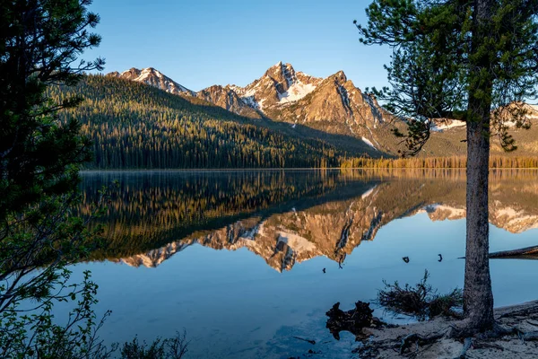 Horské jezero odraz obklopen zeleným zdravým lesem — Stock fotografie