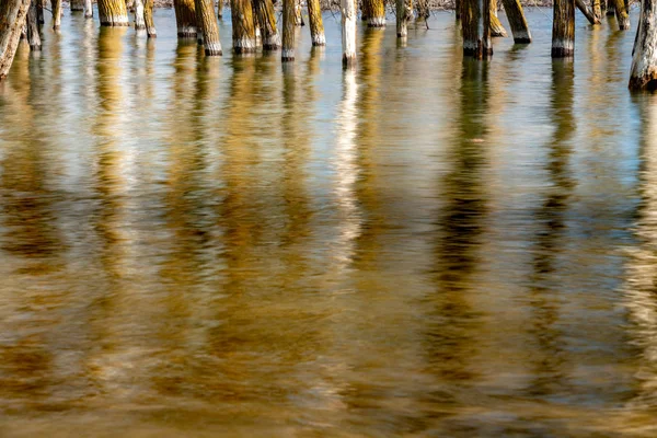 Water in een overstroomd reservoir reflecteert bomen van boven — Stockfoto