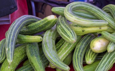 kıvrılmış ve kıvrılmış salatalıklar.