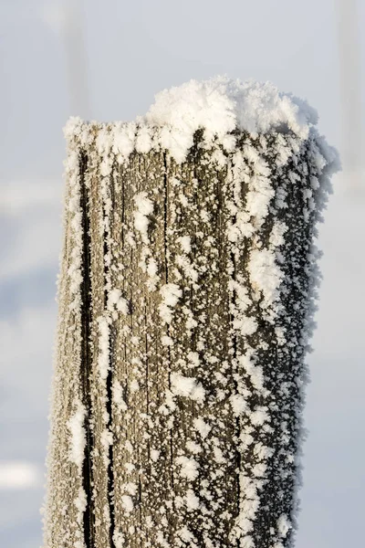 Monring light on a frost covered fence post — Stock Photo, Image