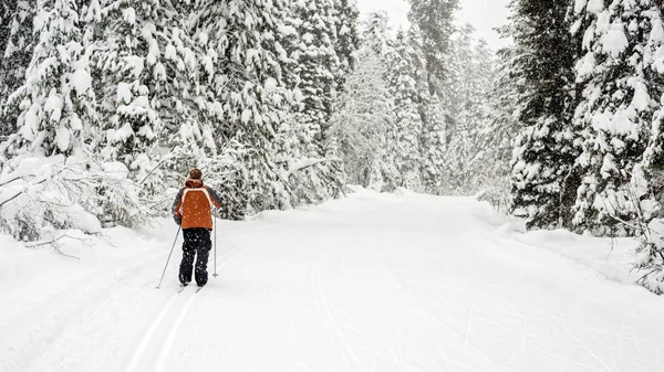 Nieve cayendo en una pista de esquí en las montañas de Idaho — Foto de Stock