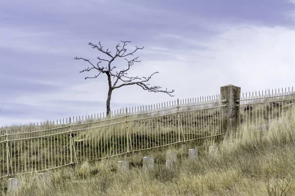 孤独な墓地不毛の穏やかな — ストック写真