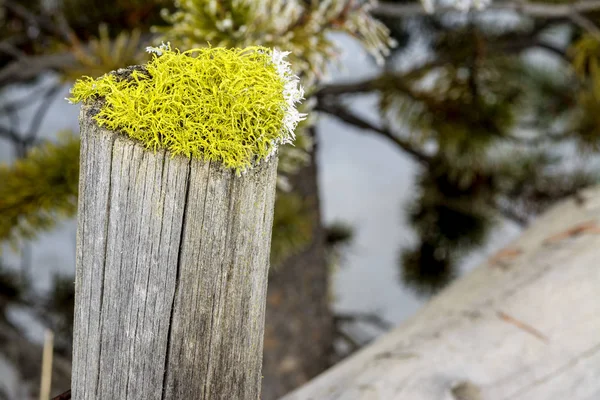 Idaho farmers fence in winter