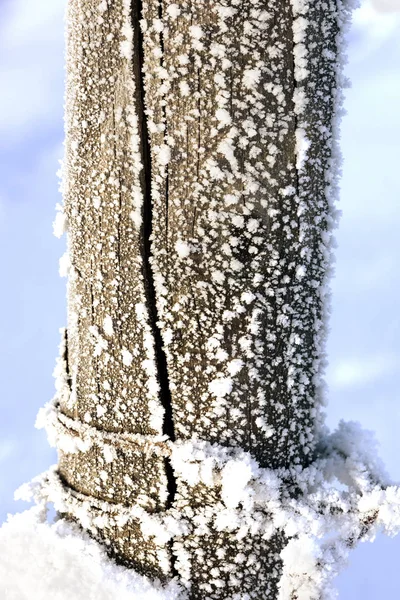 Close up of a fence post with winter frost on it — 스톡 사진