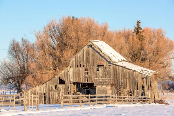 Rustikale alte Holzscheune im Winter — Stockfoto