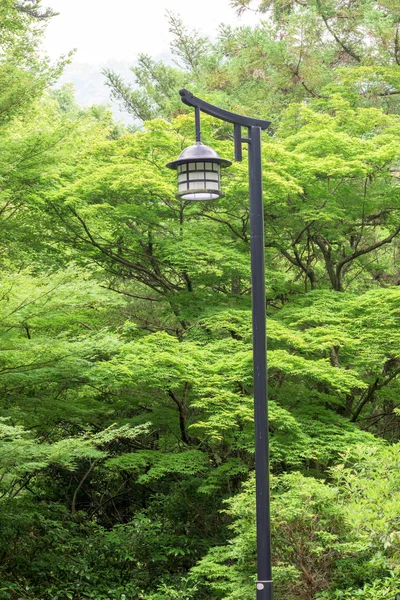 Jardim florestal no Japão com um poste de luz — Fotografia de Stock