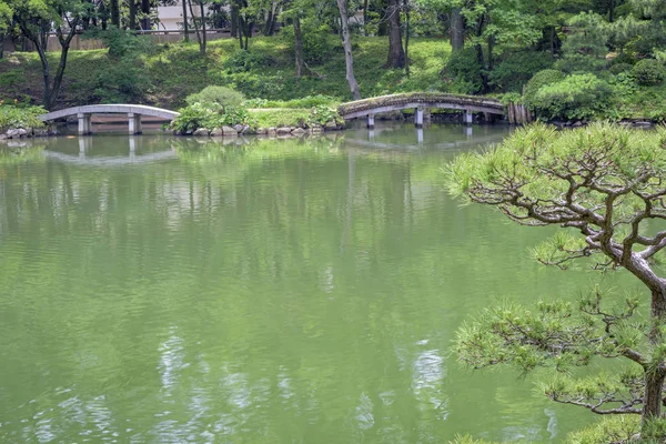 Étang japonais avec ponts et arbres — Photo