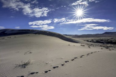 Ayak izleri çöl kumu boyunca uzanıyor.
