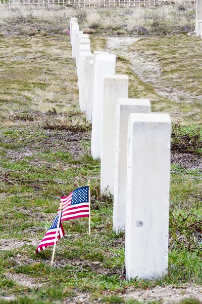 Soldatenfriedhof mit weißen Holzsteinen in einer Reihe — Stockfoto