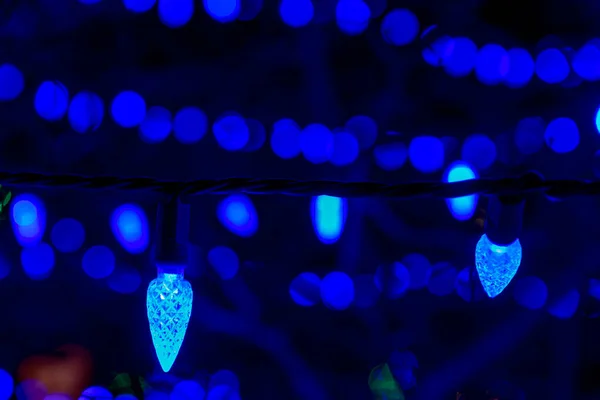 Gros plan de la lumière de Noël qui sont bleus et, sur un arbre , — Photo