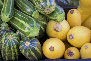 Satılık farklı kabak türleri olan pazar