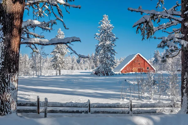 Cereja de Natal de um celeiro vermelho em neve de inverno — Fotografia de Stock