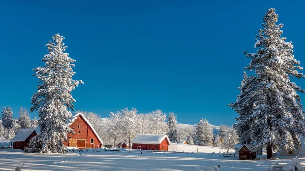 Świeże koce śnieżne kraj farma Idaho z czerwoną stodołą — Zdjęcie stockowe