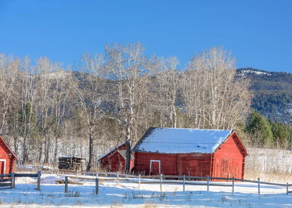 Rústico viejo cobertizo rojo en invierno en una granja — Foto de Stock