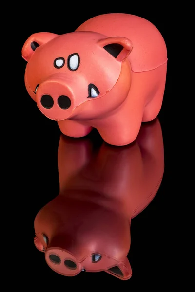 Маленька іграшкова свиня на відбиваючому столі — стокове фото