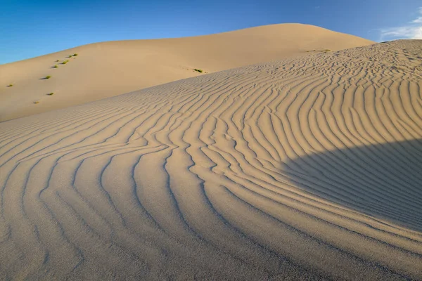 Impressões digitais de uma duna de areia em ondulações — Fotografia de Stock