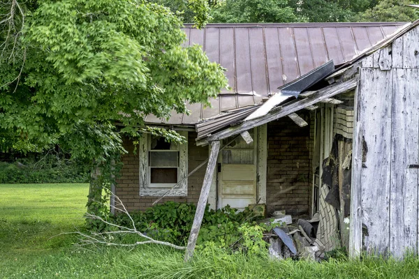 Rundown shack with tree blowing in wind — Stock Photo, Image