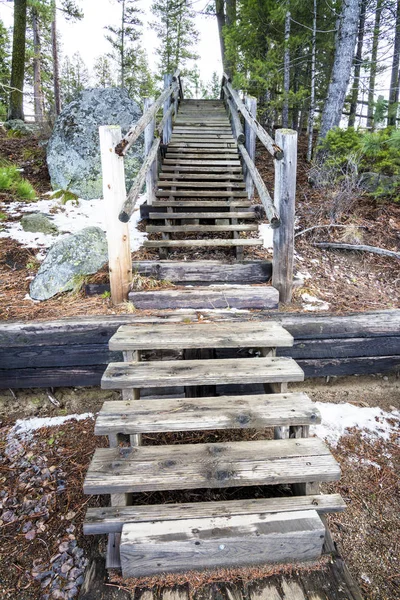 Escaleras de madera son un camino en el bosque — Foto de Stock