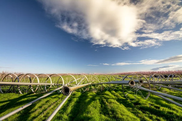 Vista única de tubos de irrigação em uma fazenda Idaho — Fotografia de Stock