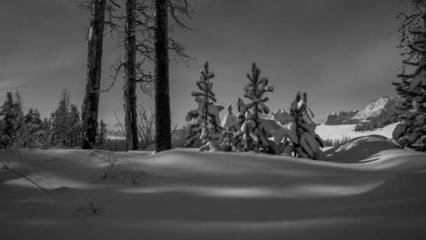 Lapso Tiempo Blanco Negro Bosque Invierno Con Montañas — Vídeos de Stock