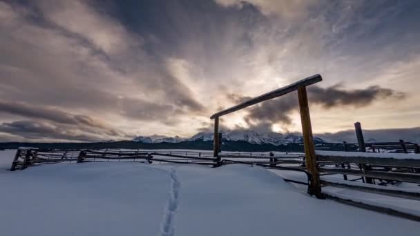 Djurspår Snön Vid Bondgård Nära Stanley Idaho — Stockvideo