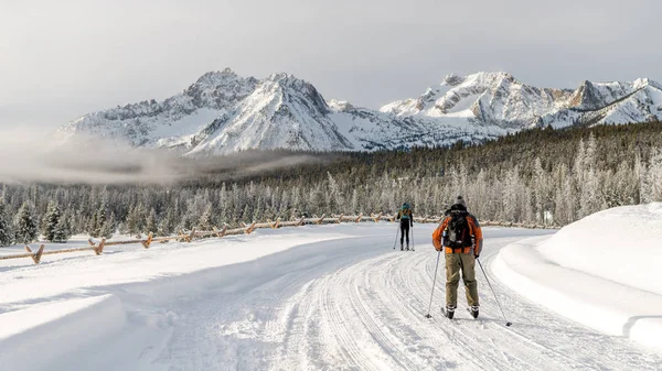 Hermosa vista para los esquiadores de fondo trekking por un camino a — Foto de Stock