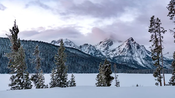 Invierno montañas del desierto y la mañana del bosque con nieve y clo — Foto de Stock