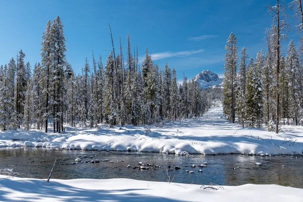 Camino cubierto de nieve de invierno conduce a la montaña Sawtooth de Idaho — Foto de Stock