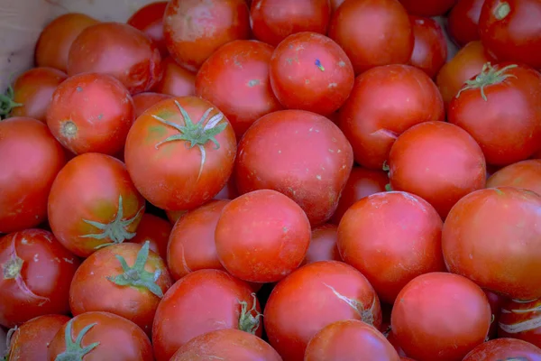 Many red ripe tomatoes at a market
