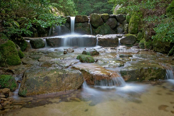 Cours Eau Avec Chute Eau Dans Une Forêt Japonaise — Photo