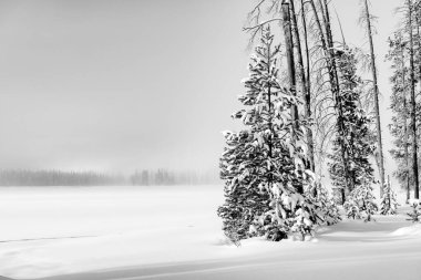 Sis ve kar, kış gölünde beyaz bir sahne oluşturur.