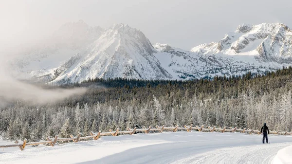 Hermosa Escena Invierno Con Esquiador Montañas Idaho — Foto de Stock