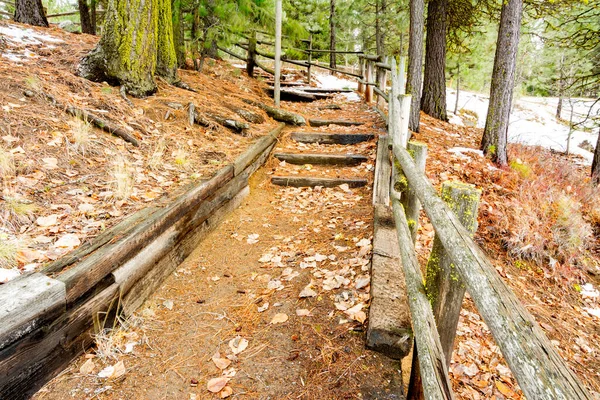 Ścieżka Leśna Prowadzi Przez Drzewa Schodami Poręczą — Zdjęcie stockowe