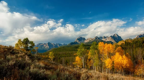 Bosque Pinos Con Otoño Aspens Valle Bajo Cordillera Rocosa — Foto de Stock