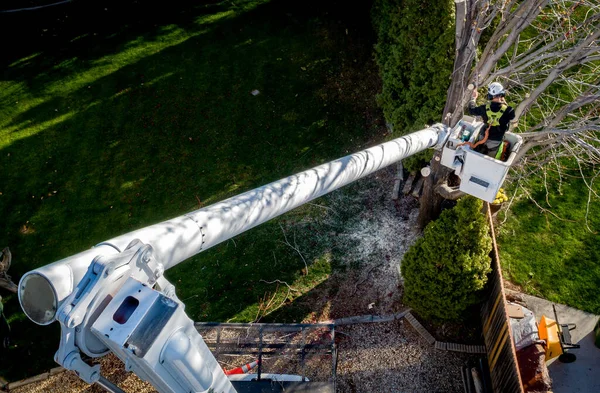 Meridian Idaho Usa April 2020 Tree Cutter Bucket High Ground — Stock Photo, Image