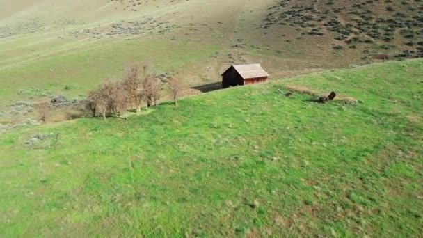 Groen Gras Bedekt Grond Waar Een Boerenschuur Woont — Stockvideo