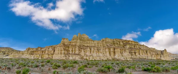 Cepillo Salvia Cubierto Suelo Desierto Conducen Acantilado Dramático — Foto de Stock