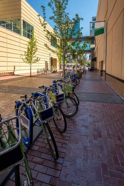 Boise Idaho şehir merkezinde birçok bisiklet kiralanabilir.