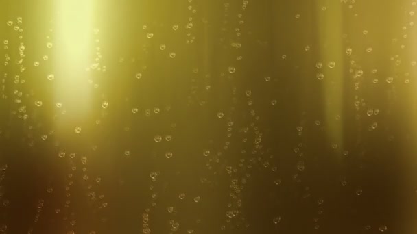 Beer Champagne Soda Bubbles Loop Seamless Looping Animation Bubbles Beer — Stock Video